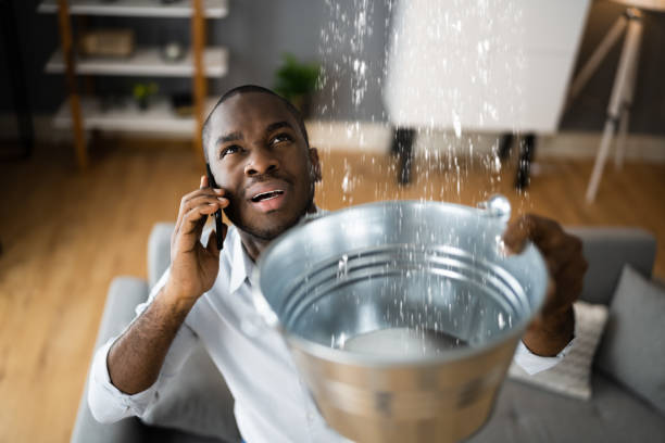 Best 24/7 water damage repair  in Ormond Beach, FL
