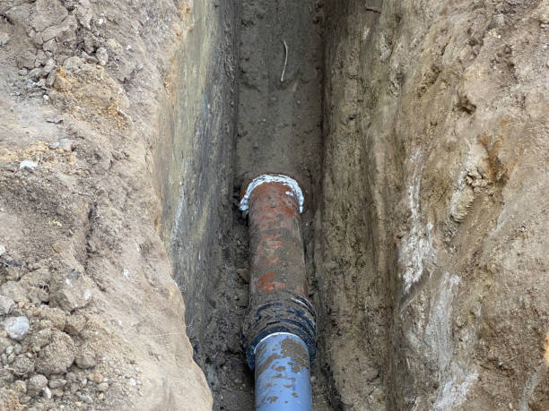 Best Basement water damage restoration  in Ormond Beach, FL