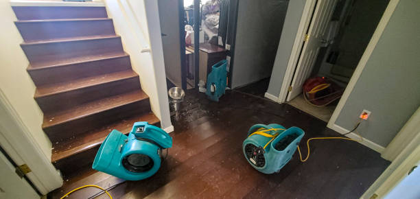 Best Water damage repair service  in Ormond Beach, FL