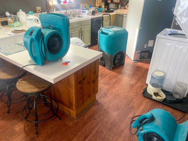 Best Local water damage restoration  in Ormond Beach, FL