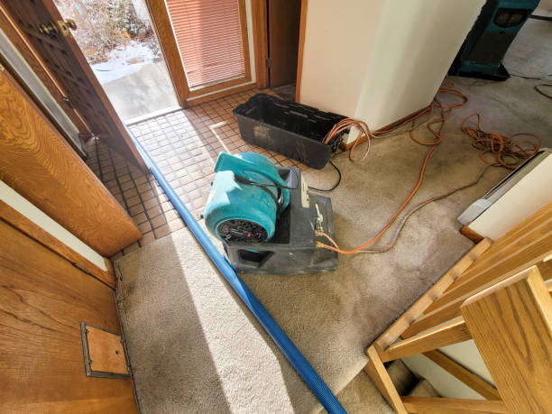 Best Commercial water damage restoration  in Ormond Beach, FL
