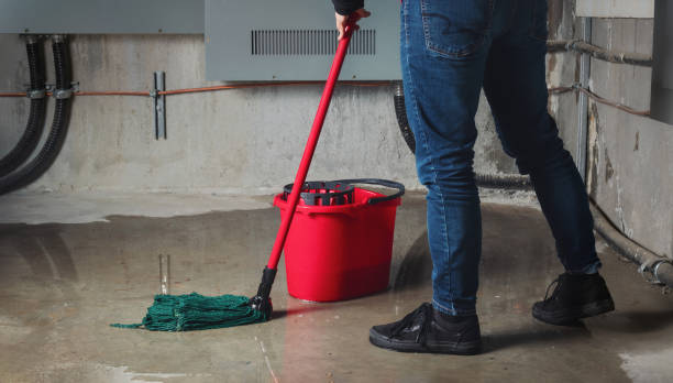 Best Commercial water damage restoration  in Ormond Beach, FL