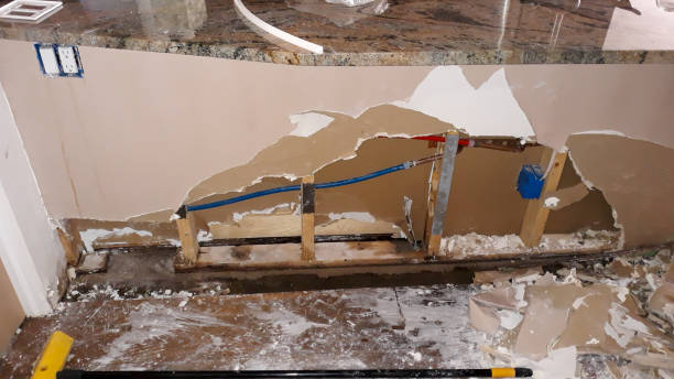 Best Water damage restoration near me  in Ormond Beach, FL