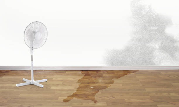 Trusted Ormond Beach, FL Water damage restoration Experts