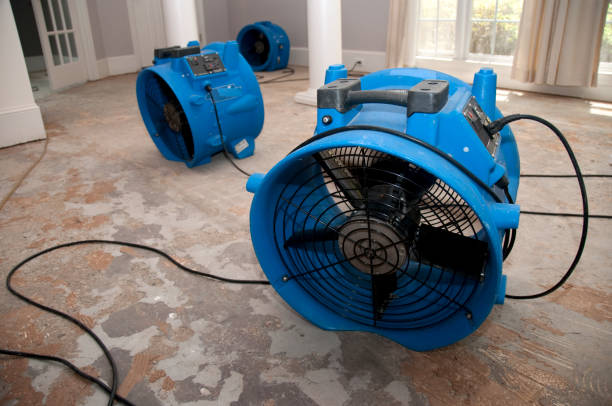 Best Water damage contractors near me  in Ormond Beach, FL
