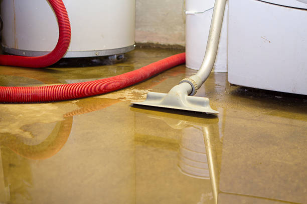 Best Mold removal after water damage  in Ormond Beach, FL