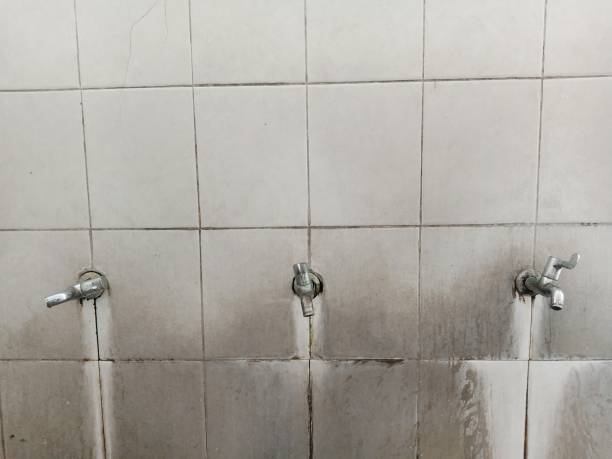 Trusted Ormond Beach, FL Water damage restoration Experts