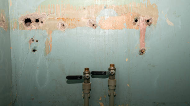 Best Ceiling water damage repair  in Ormond Beach, FL