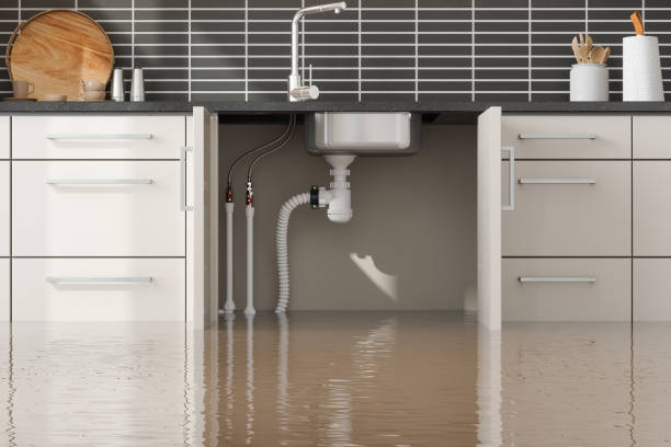 Best Water damage cleanup near me  in Ormond Beach, FL