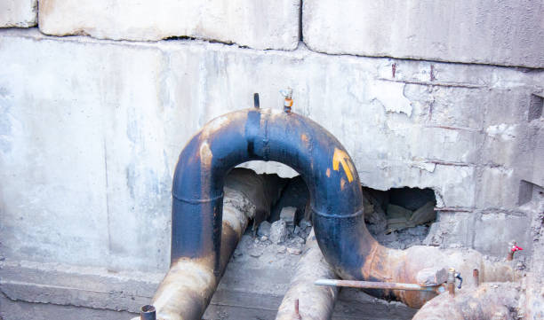 Best Carpet water damage restoration  in Ormond Beach, FL