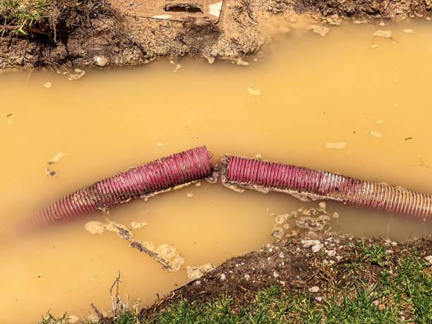 Best Water damage contractors near me  in Ormond Beach, FL