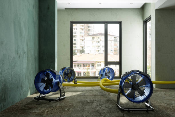 Best Flood restoration services  in Ormond Beach, FL