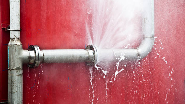 Best Flood restoration services  in Ormond Beach, FL
