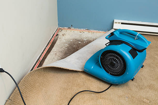 Best Flooded house restoration  in Ormond Beach, FL